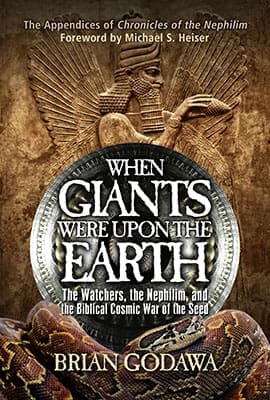 A fantasy book cover titled 'When Giants Were Upon the Earth'.