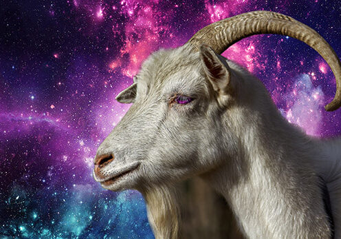3-Goat-and-Little-Horn-small